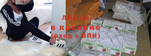 ПСИЛОЦИБИНОВЫЕ ГРИБЫ Белокуриха