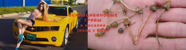 ПСИЛОЦИБИНОВЫЕ ГРИБЫ Белокуриха