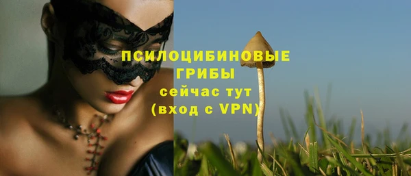 марки lsd Белоозёрский