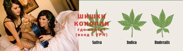 ПСИЛОЦИБИНОВЫЕ ГРИБЫ Белокуриха