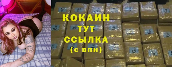 ПСИЛОЦИБИНОВЫЕ ГРИБЫ Белокуриха