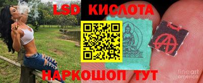 jwh Камышлов