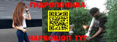 jwh Камышлов