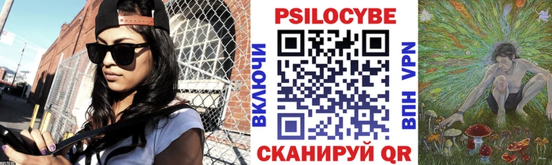 Псилоцибиновые грибы GOLDEN TEACHER  купить наркоту  Малоярославец 