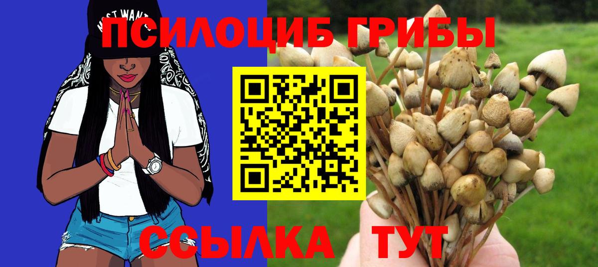 Псилоцибиновые грибы GOLDEN TEACHER  Вход с VPN  Галлюциногенные грибы мицелий  Малоярославец 